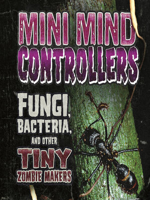 cover image of Mini Mind Controllers